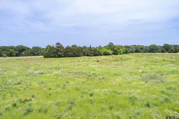 TBD VZ CR 4714 (TRACT 13), BEN WHEELER, TX 75754, photo 3 of 7