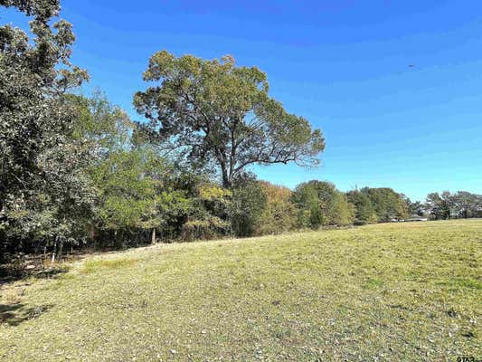 TBD CR 3310, DEKALB, TX 75559 - Image 1