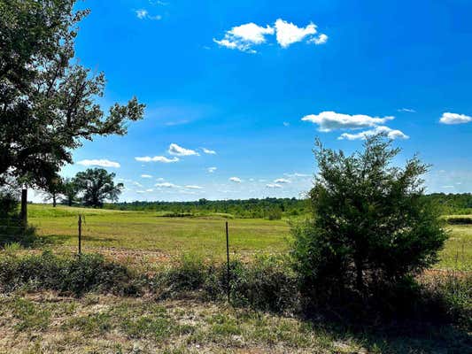 3218 FM 1995 LOT 5, VAN, TX 75790 - Image 1