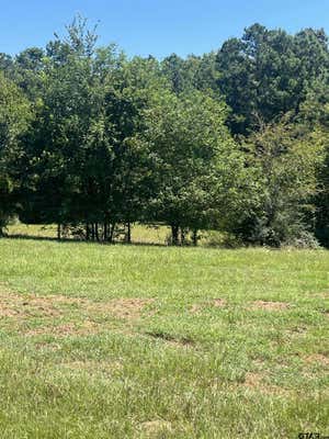 10729 FM 838 W, OVERTON, TX 75684 - Image 1