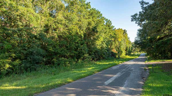 TBD CR 3168, WINONA, TX 75792 - Image 1