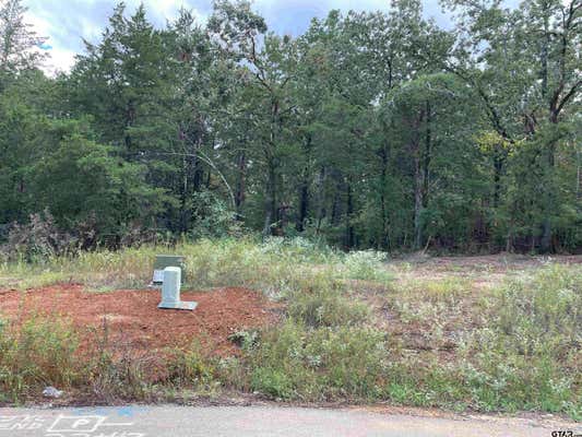 TBD CEDARPARK PLACE LOT 22, LINDALE, TX 75771 - Image 1