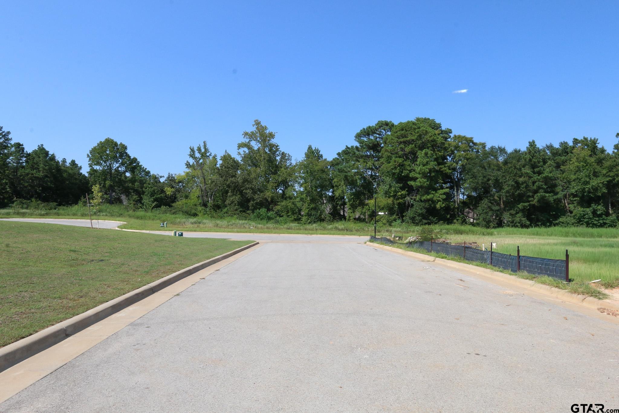 Tyler, Texas, 75703, United States, ,Residential,Active,1936106