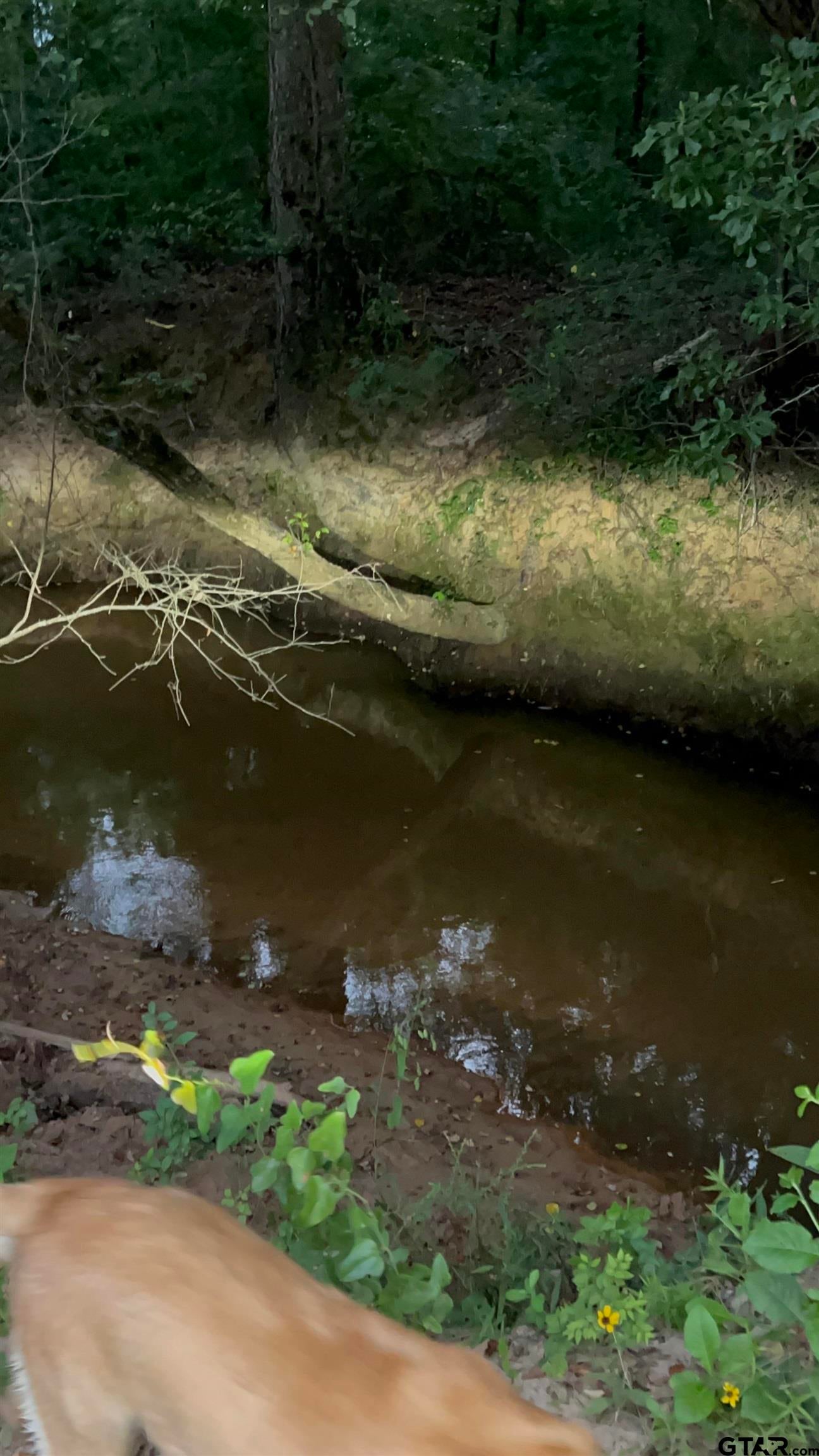 Winona, Texas, 75792, United States, 3 Bedrooms Bedrooms, ,3 BathroomsBathrooms,Residential,Active,1880186