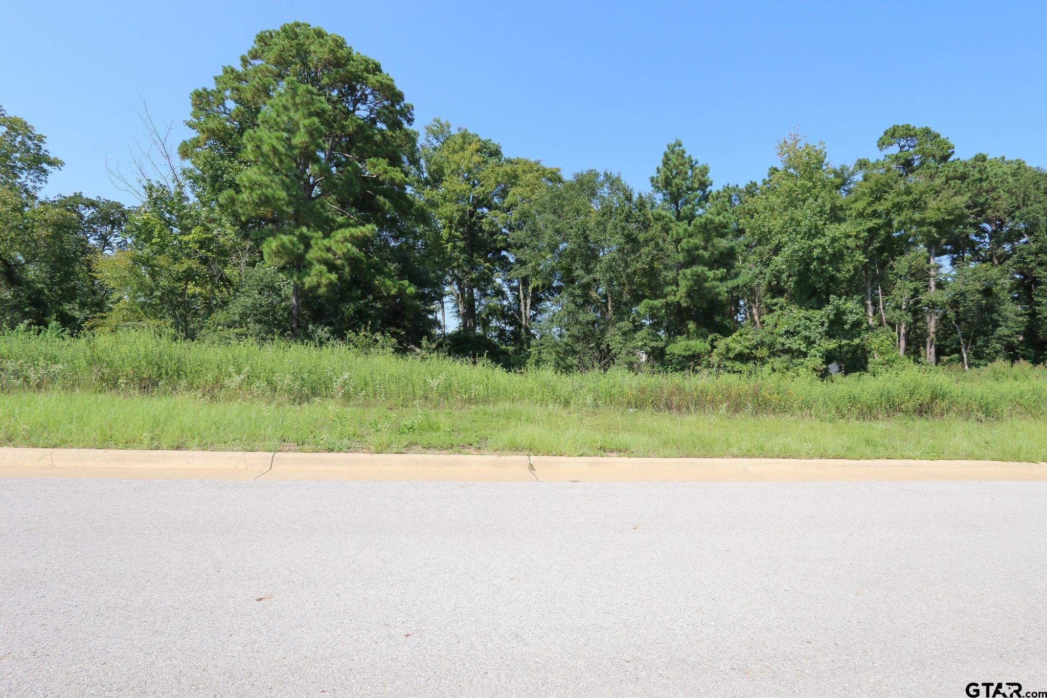 Tyler, Texas, 75703, United States, ,Residential,Active,1936106