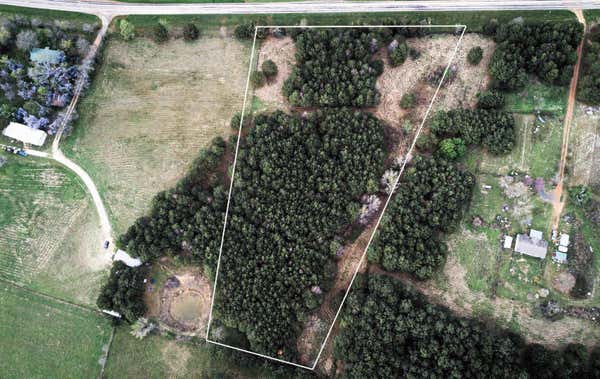 TBD FM 130, DAINGERFIELD, TX 75638 - Image 1