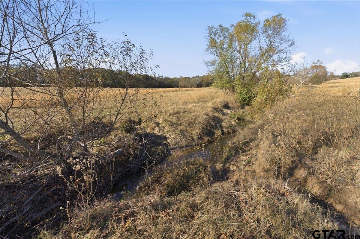 Sulphur Springs, Texas, 75482, United States, 4 Bedrooms Bedrooms, ,4 BathroomsBathrooms,Residential,Active,1999168