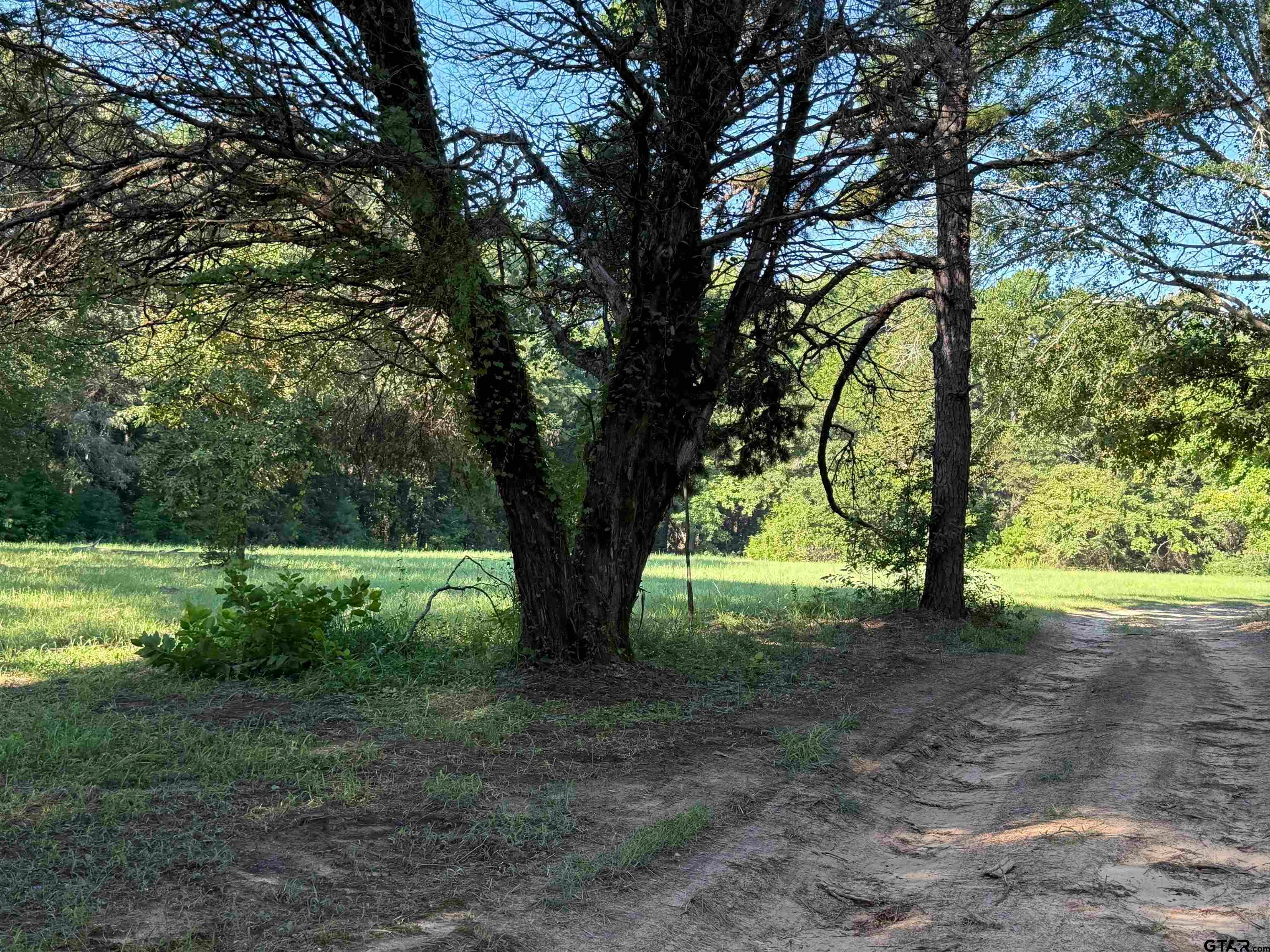 Lindale, Texas, 75771, United States, 1 Bedroom Bedrooms, ,1 BathroomBathrooms,Residential,Active,1941103