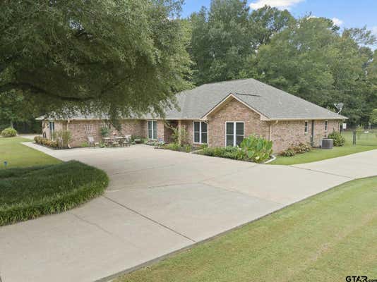 20 COUNTY ROAD 2938 S, PITTSBURG, TX 75686 - Image 1