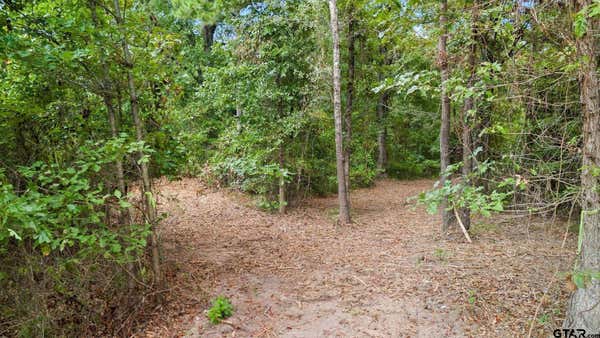 10.13 ACRES FM 852, GILMER, TX 75644, photo 2 of 19