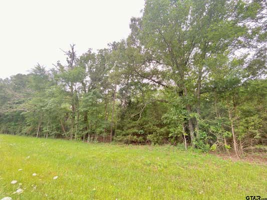 0 S STATE HIGHWAY 19, ELKHART, TX 75839, photo 5 of 7