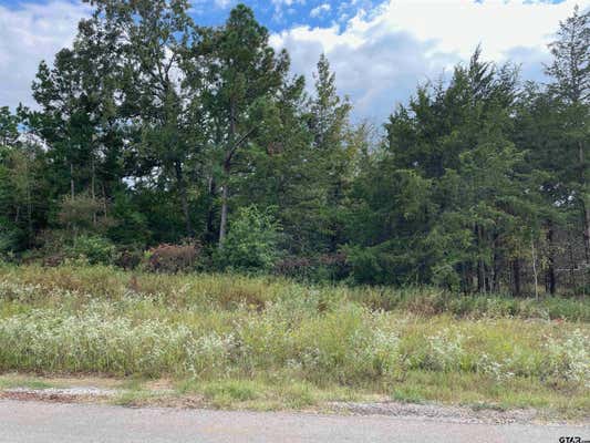 19371 CEDARPARK PL LOT 32, LINDALE, TX 75771 - Image 1