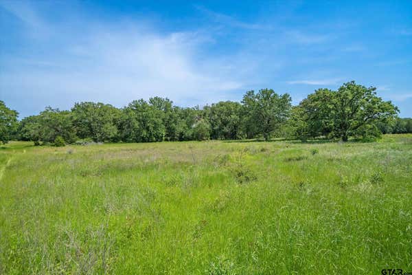 TBD VZ CR 4714 (TRACT 13), BEN WHEELER, TX 75754, photo 4 of 7