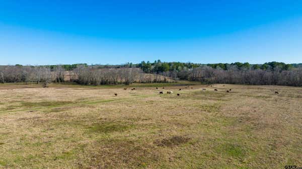 TBD CR 1345, LINDEN, TX 75563, photo 5 of 19