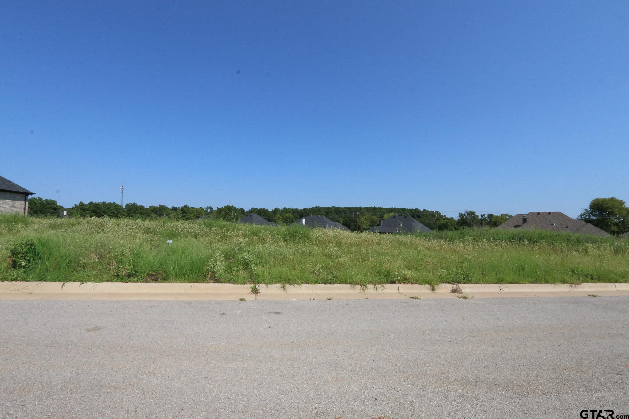 Tyler, Texas, 75703, United States, ,Residential,Active,1936106