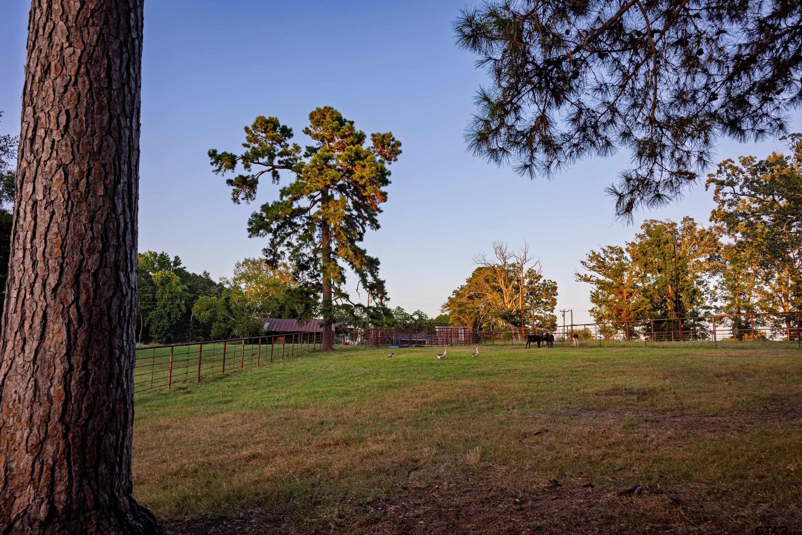 Chandler, Texas, 75758, United States, 3 Bedrooms Bedrooms, ,3 BathroomsBathrooms,Residential,Active,1905365
