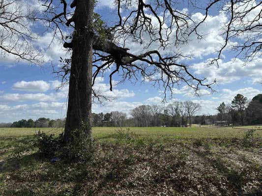 TBD LOT 1 COUNTY ROAD 401, HENDERSON, TX 75654, photo 2 of 6