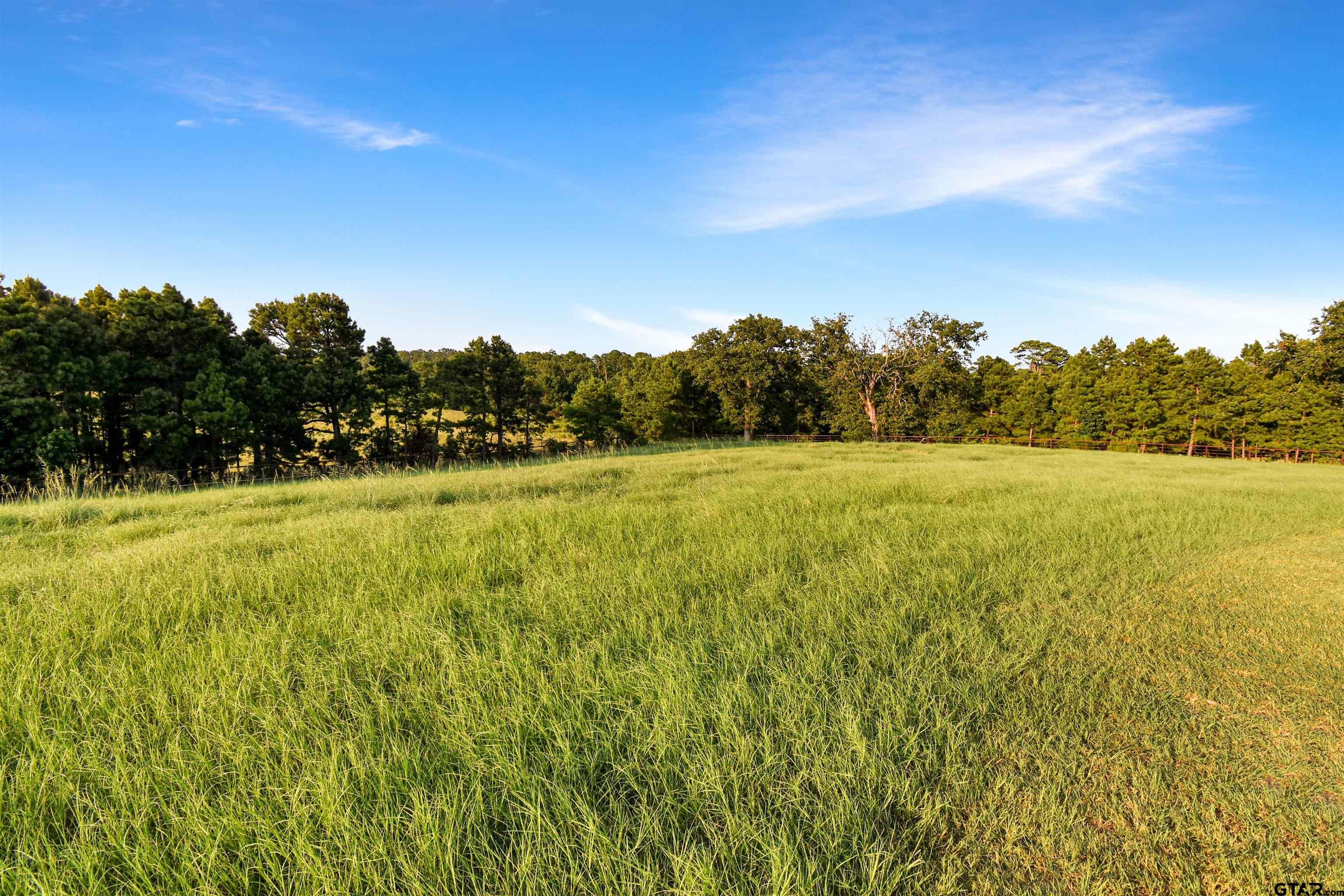 Brownsboro, Texas, 75756, United States, 5 Bedrooms Bedrooms, ,4 BathroomsBathrooms,Residential,Active,1905124