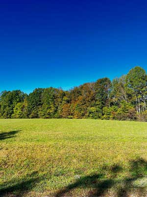 LOT 2 GOFF RIDGE RD., BAXTER, TN 38544 - Image 1