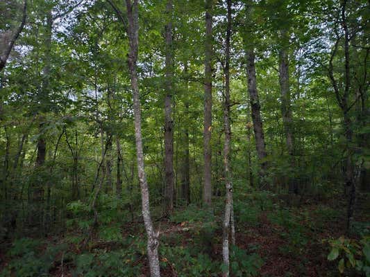 00 SANDY ROAD N/O-SELLS CEMETERY ROAD, WILDER, TN 38589 - Image 1