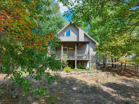 417 SMITHFIELD RD, TELLICO PLAINS, TN 37385 - Image 1