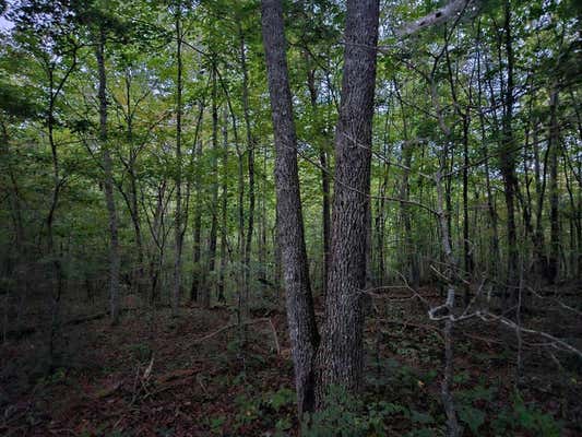 00 SANDY ROAD N/O-SELLS CEMETERY ROAD, WILDER, TN 38589, photo 2 of 10