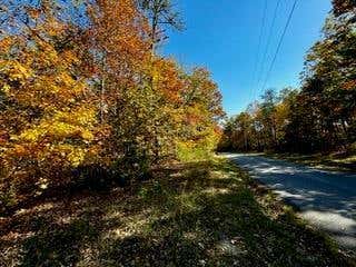 LOT 46 HONEY SPRINGS, CRAWFORD, TN 38554 - Image 1