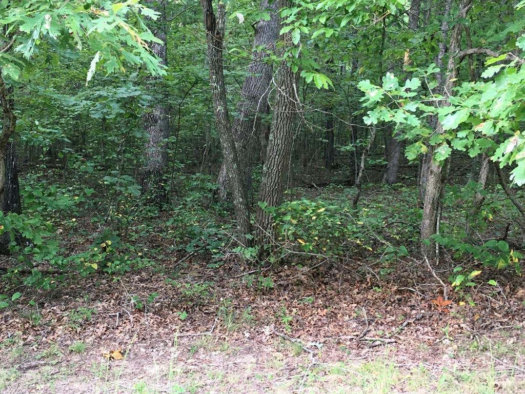 LOT#26 ARROW TRAIL, MONTEREY, TN 38574, photo 1 of 5