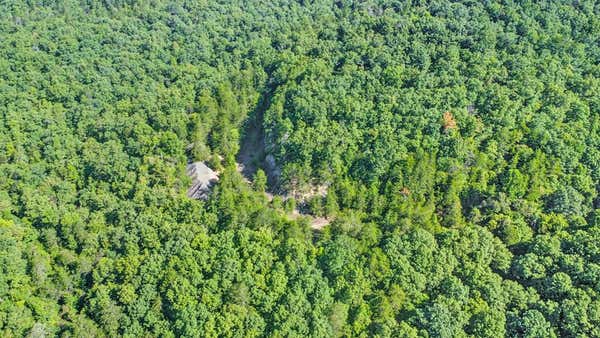 0 WILDER RD, WILDER, TN 38589 - Image 1