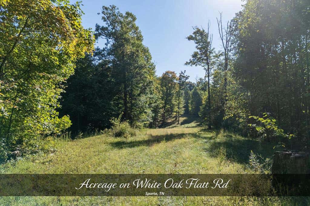 35 AC WHITE OAK FLATT RD, SPARTA, TN 38583, photo 1 of 19