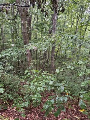 LOT 23 WILSON RIDGE ROAD, WILDER, TN 38589, photo 3 of 10