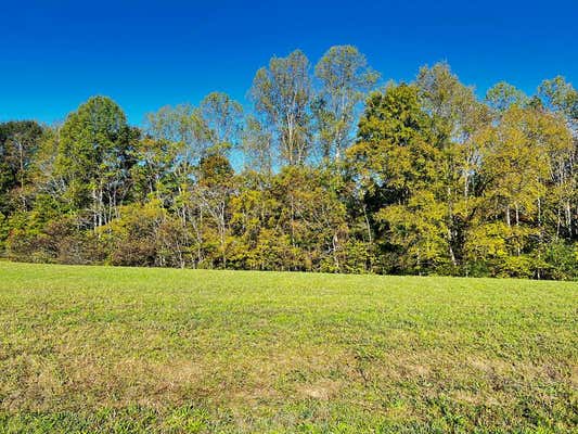 LOT 1 GOFF RIDGE RD., BAXTER, TN 38544 - Image 1