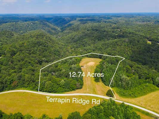 256 TERRAPIN RIDGE RD, HILHAM, TN 38568 - Image 1