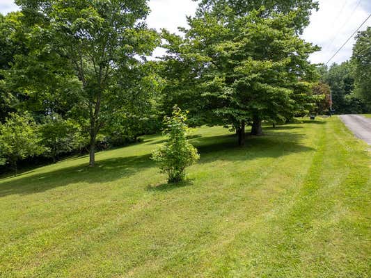 1 ACRE LAFEVER RIDGE RD, SILVER POINT, TN 38582, photo 2 of 13