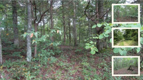 5.017AC BACKWOODS TRAIL, CELINA, TN 38551 - Image 1