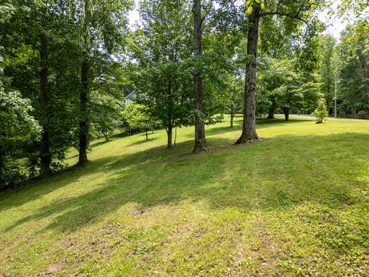 1 ACRE LAFEVER RIDGE RD, SILVER POINT, TN 38582, photo 4 of 13