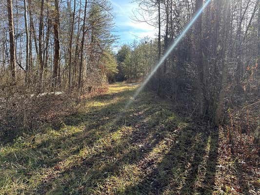 14.56 AC HWY 52, ROBBINS, TN 37852 - Image 1