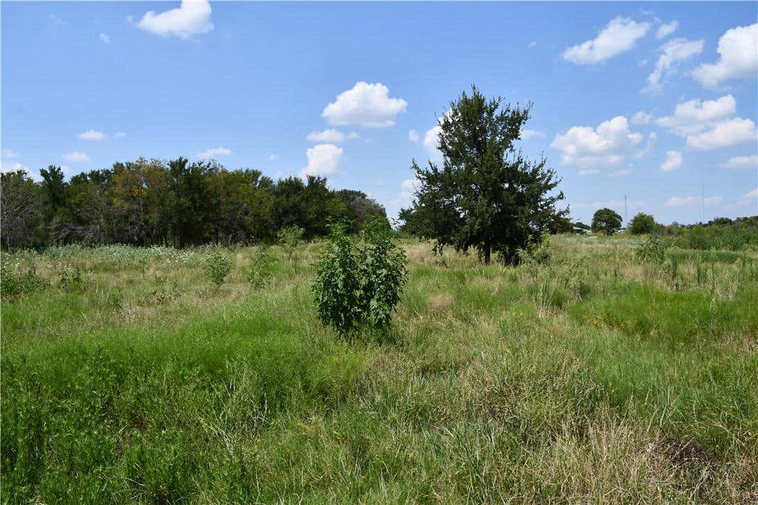 LOT 2 HCR 3363, MOUNT CALM, TX 76673, photo 1 of 10