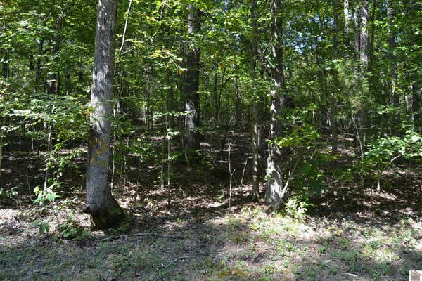 LOT 2 ROLLING MILLS ROAD, EDDYVILLE, KY 42038, photo 3 of 7