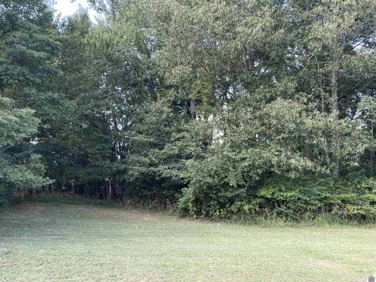 LOT 39 SADDLE CREEK SUBDIVISION, MURRAY, KY 42071 - Image 1