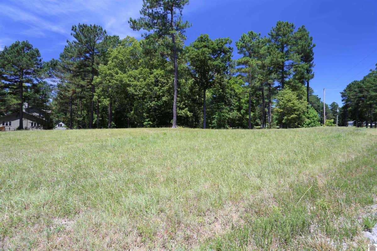 LOT #38 SHELBY DRIVE, BENTON, KY 42025, photo 1 of 11