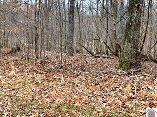 LOT #54 HOWARD ROAD, EDDYVILLE, KY 42038, photo 5 of 5