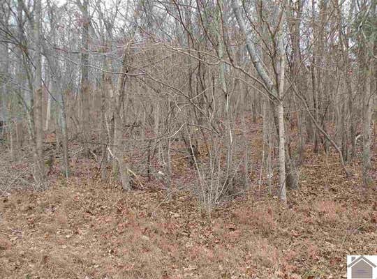 LOT #54 HOWARD ROAD, EDDYVILLE, KY 42038, photo 2 of 5