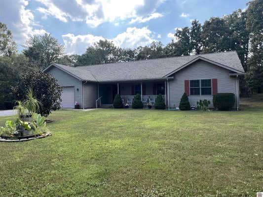 196 FORT LEISURE TRL, GILBERTSVILLE, KY 42044 - Image 1