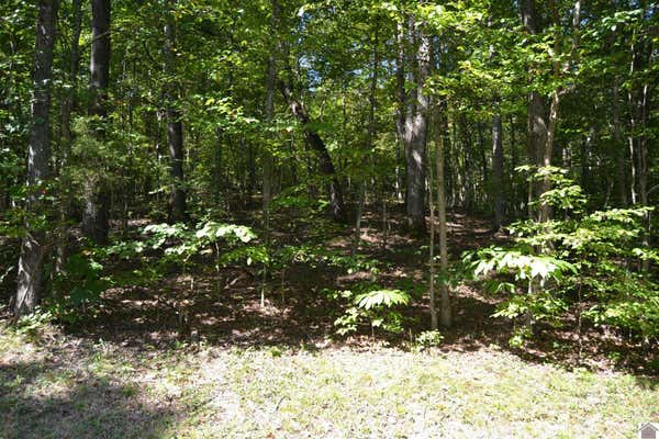 LOT 2 ROLLING MILLS ROAD, EDDYVILLE, KY 42038, photo 5 of 7