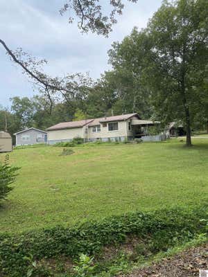 311 PARKVIEW MANOR DR, GILBERTSVILLE, KY 42044 - Image 1