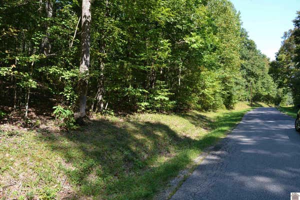 LOT 2 ROLLING MILLS ROAD, EDDYVILLE, KY 42038, photo 4 of 7