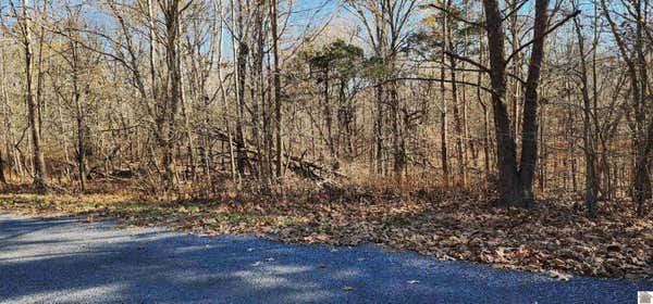 LOT 28 BRAGG POND RD, CADIZ, KY 42211, photo 4 of 17