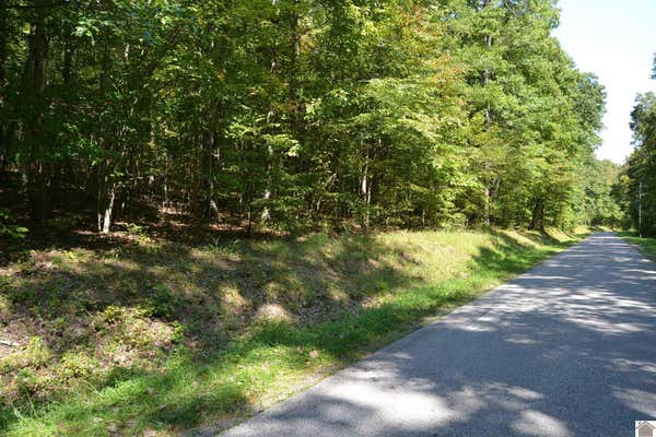 LOT 3 ROLLING MILLS ROAD, EDDYVILLE, KY 42038, photo 5 of 7