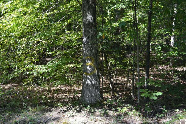 LOT 3 ROLLING MILLS ROAD, EDDYVILLE, KY 42038, photo 3 of 7